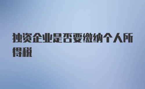 独资企业是否要缴纳个人所得税