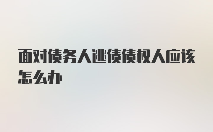 面对债务人逃债债权人应该怎么办