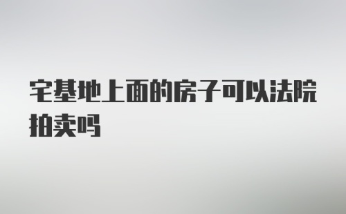 宅基地上面的房子可以法院拍卖吗