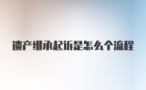 遗产继承起诉是怎么个流程