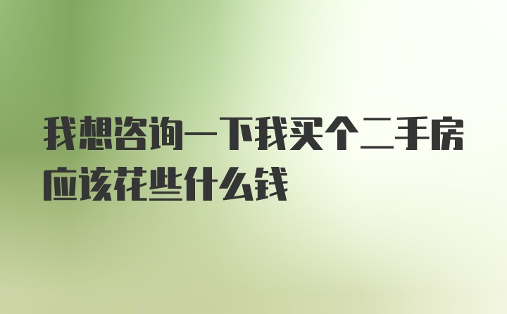 我想咨询一下我买个二手房应该花些什么钱