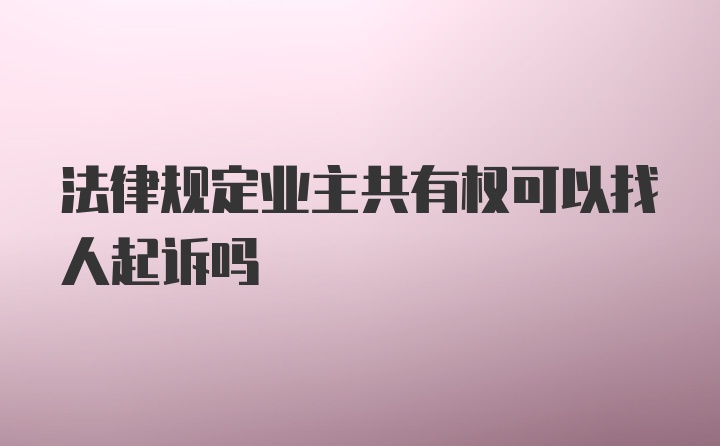 法律规定业主共有权可以找人起诉吗