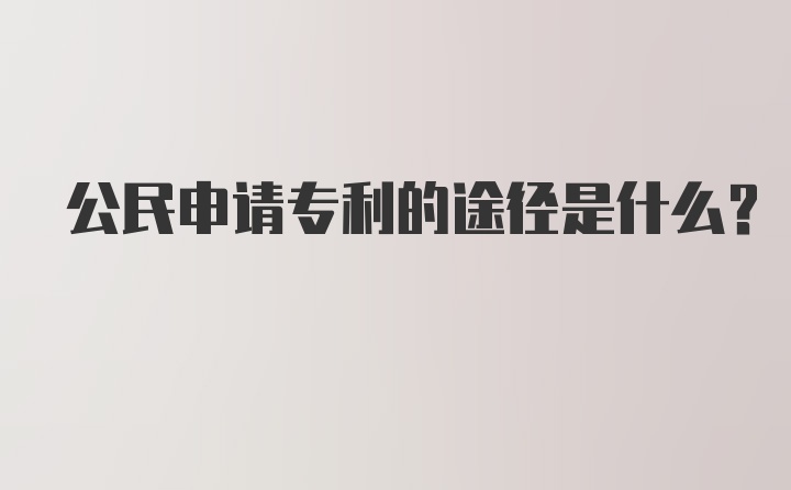 公民申请专利的途径是什么？