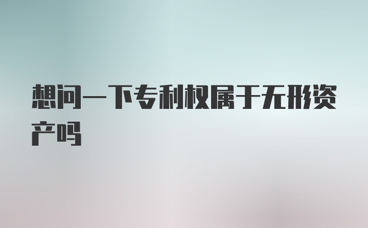 想问一下专利权属于无形资产吗