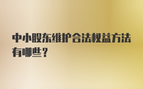 中小股东维护合法权益方法有哪些？