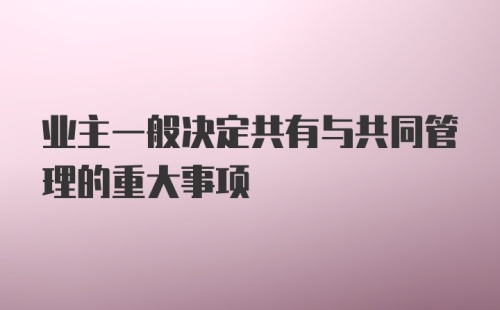 业主一般决定共有与共同管理的重大事项