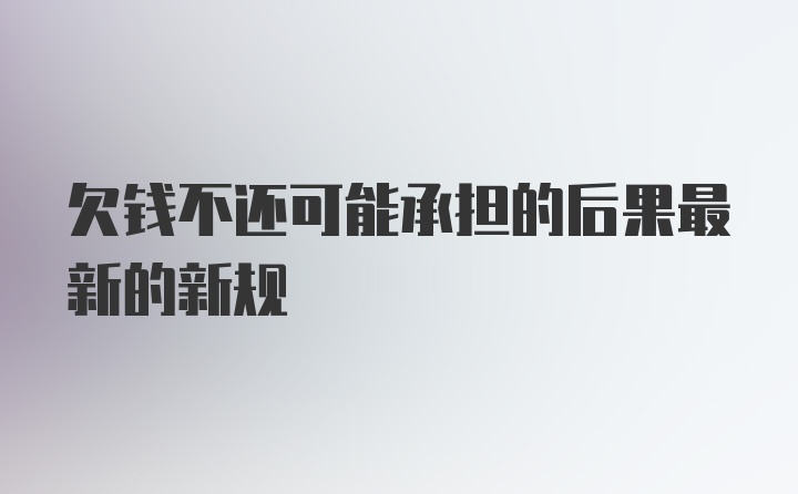 欠钱不还可能承担的后果最新的新规