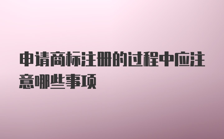 申请商标注册的过程中应注意哪些事项