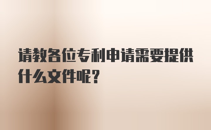 请教各位专利申请需要提供什么文件呢？