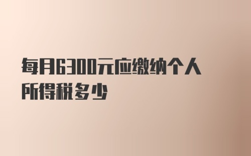 每月6300元应缴纳个人所得税多少