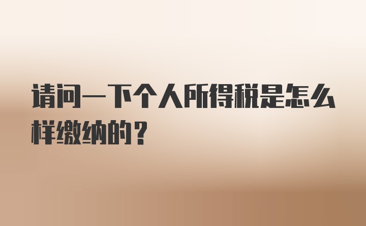 请问一下个人所得税是怎么样缴纳的？