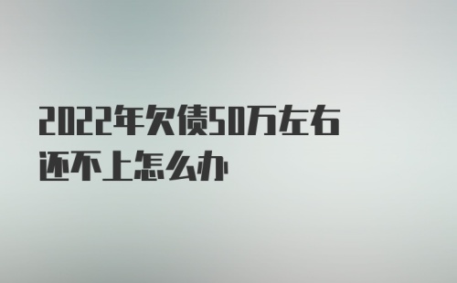 2022年欠债50万左右还不上怎么办