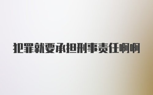 犯罪就要承担刑事责任啊啊