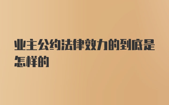 业主公约法律效力的到底是怎样的