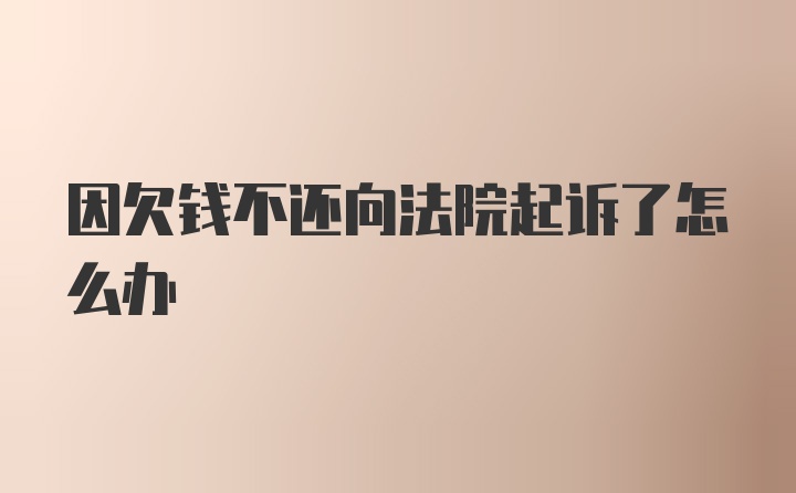 因欠钱不还向法院起诉了怎么办