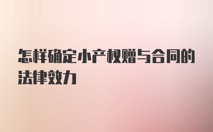 怎样确定小产权赠与合同的法律效力