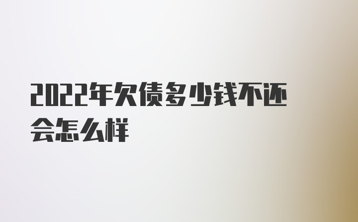 2022年欠债多少钱不还会怎么样