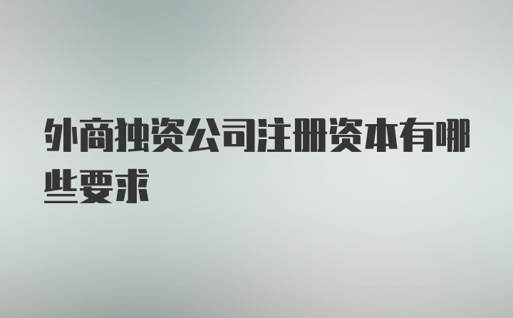 外商独资公司注册资本有哪些要求