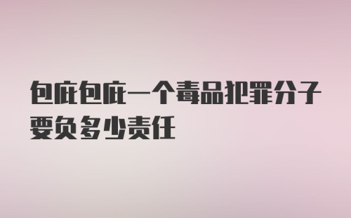 包庇包庇一个毒品犯罪分子要负多少责任