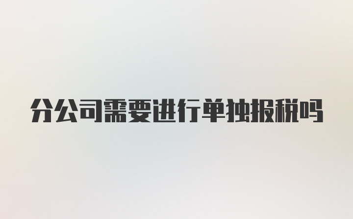 分公司需要进行单独报税吗