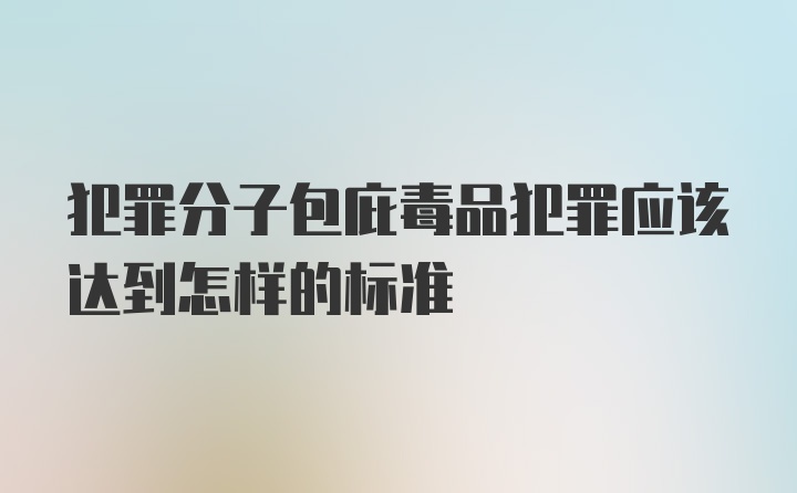 犯罪分子包庇毒品犯罪应该达到怎样的标准