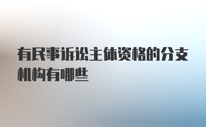 有民事诉讼主体资格的分支机构有哪些