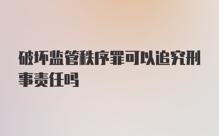 破坏监管秩序罪可以追究刑事责任吗