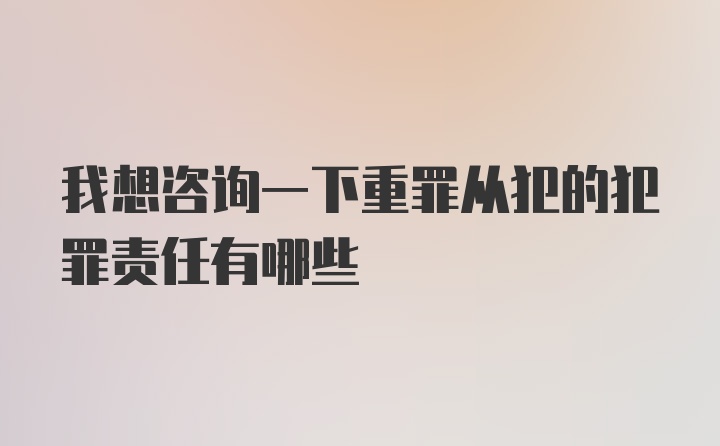 我想咨询一下重罪从犯的犯罪责任有哪些