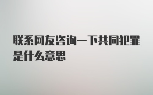 联系网友咨询一下共同犯罪是什么意思