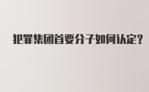 犯罪集团首要分子如何认定？