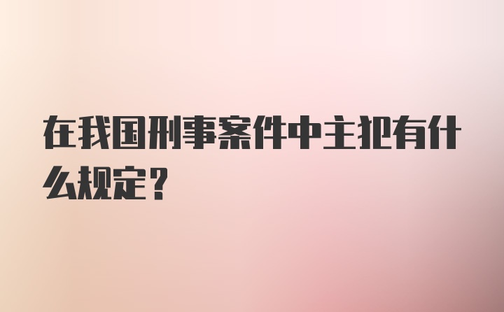 在我国刑事案件中主犯有什么规定？