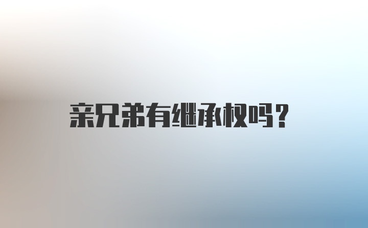 亲兄弟有继承权吗？