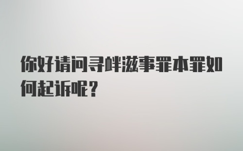 你好请问寻衅滋事罪本罪如何起诉呢？