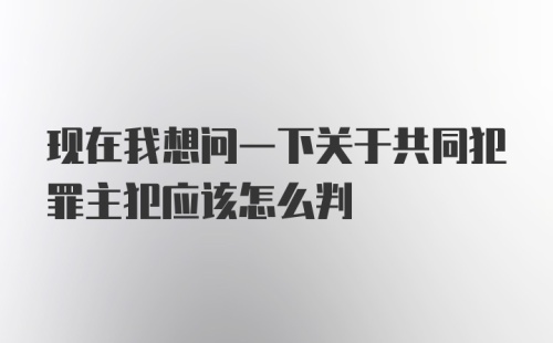 现在我想问一下关于共同犯罪主犯应该怎么判