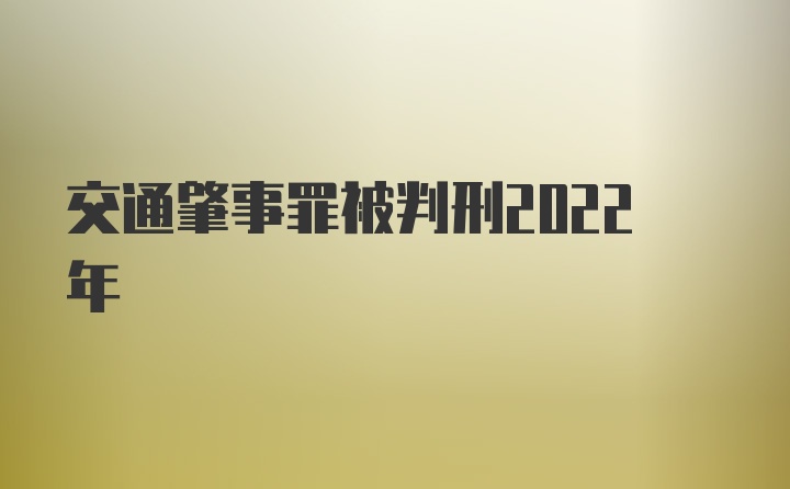 交通肇事罪被判刑2022年