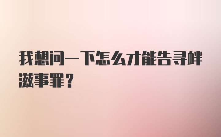 我想问一下怎么才能告寻衅滋事罪？