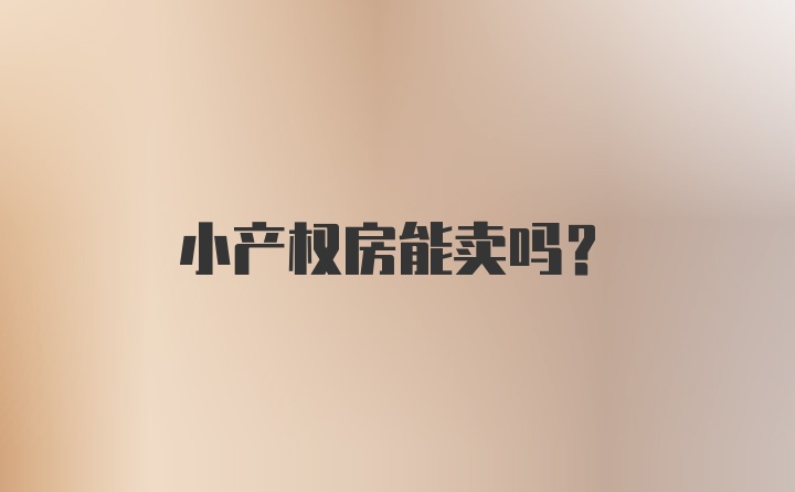 小产权房能卖吗？