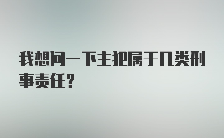 我想问一下主犯属于几类刑事责任？