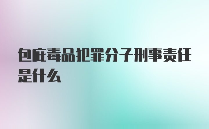 包庇毒品犯罪分子刑事责任是什么