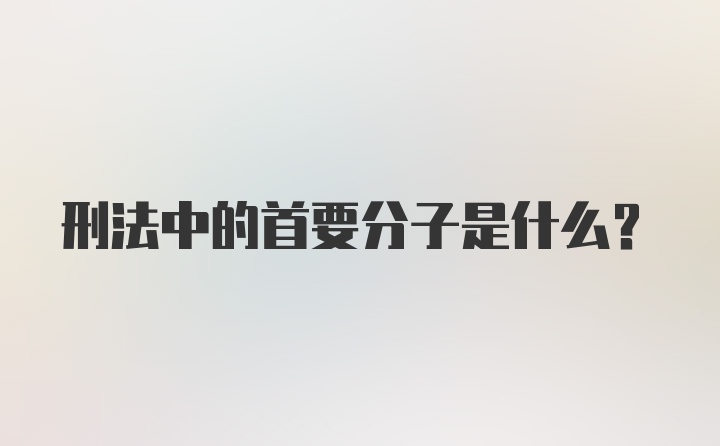 刑法中的首要分子是什么？