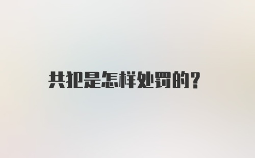 共犯是怎样处罚的?