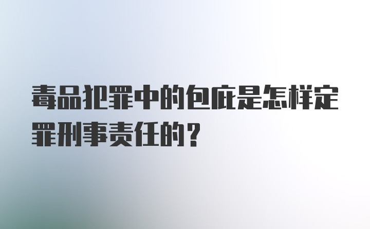 毒品犯罪中的包庇是怎样定罪刑事责任的?