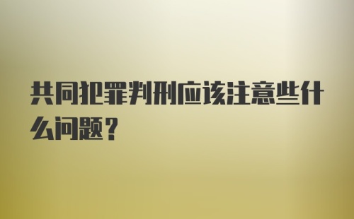 共同犯罪判刑应该注意些什么问题？