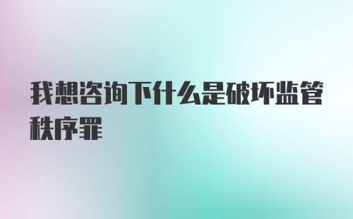 我想咨询下什么是破坏监管秩序罪