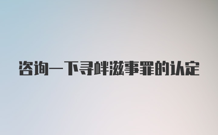 咨询一下寻衅滋事罪的认定