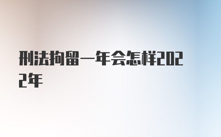 刑法拘留一年会怎样2022年