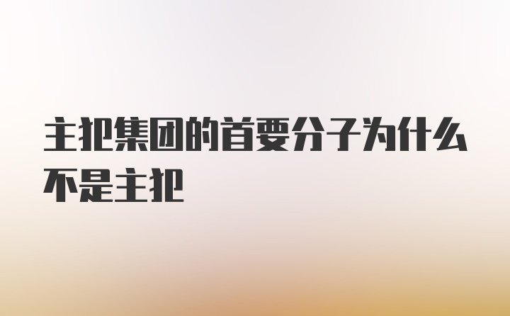 主犯集团的首要分子为什么不是主犯