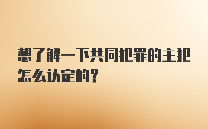 想了解一下共同犯罪的主犯怎么认定的？