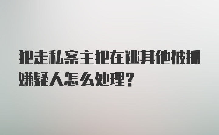 犯走私案主犯在逃其他被抓嫌疑人怎么处理？