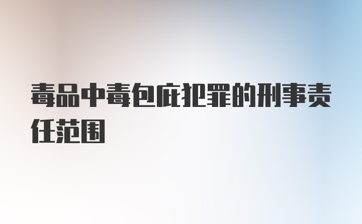 毒品中毒包庇犯罪的刑事责任范围